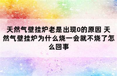 天然气壁挂炉老是出现0的原因 天然气壁挂炉为什么烧一会就不烧了怎么回事